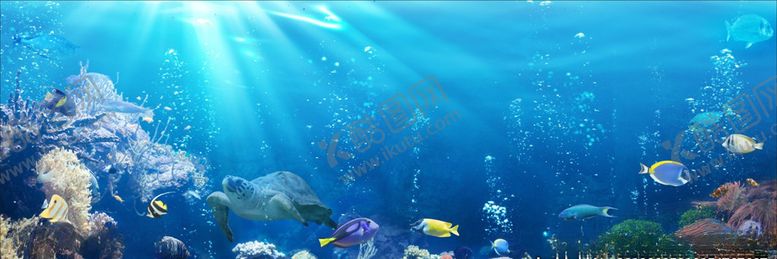 编号：13243709220333241809【酷图网】源文件下载-海鲜池背景图