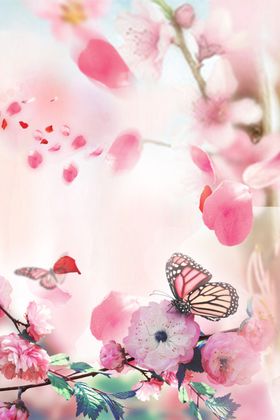 桃花海报