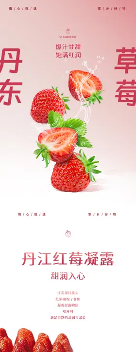 精品丹东99草莓推广图