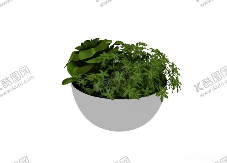编号：62915209191754013208【酷图网】源文件下载-花盆绿植3d模型