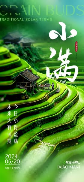 小满海报推广节气麦子地产