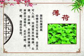 简约薄荷绿夏季促销海报