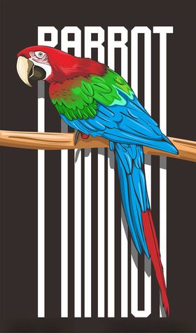 鹦鹉