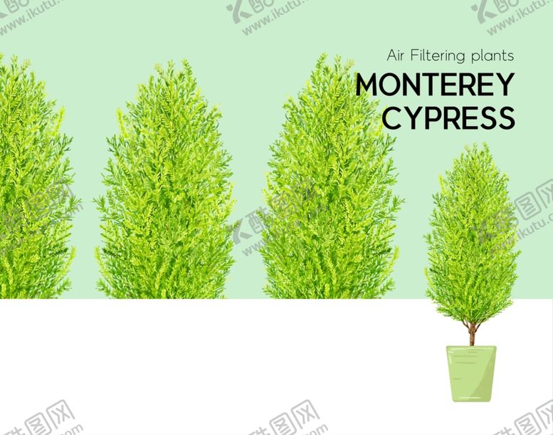 编号：49618310120643493054【酷图网】源文件下载-手绘植物