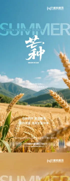 芒种二十四节气节日海报麦芒麦田