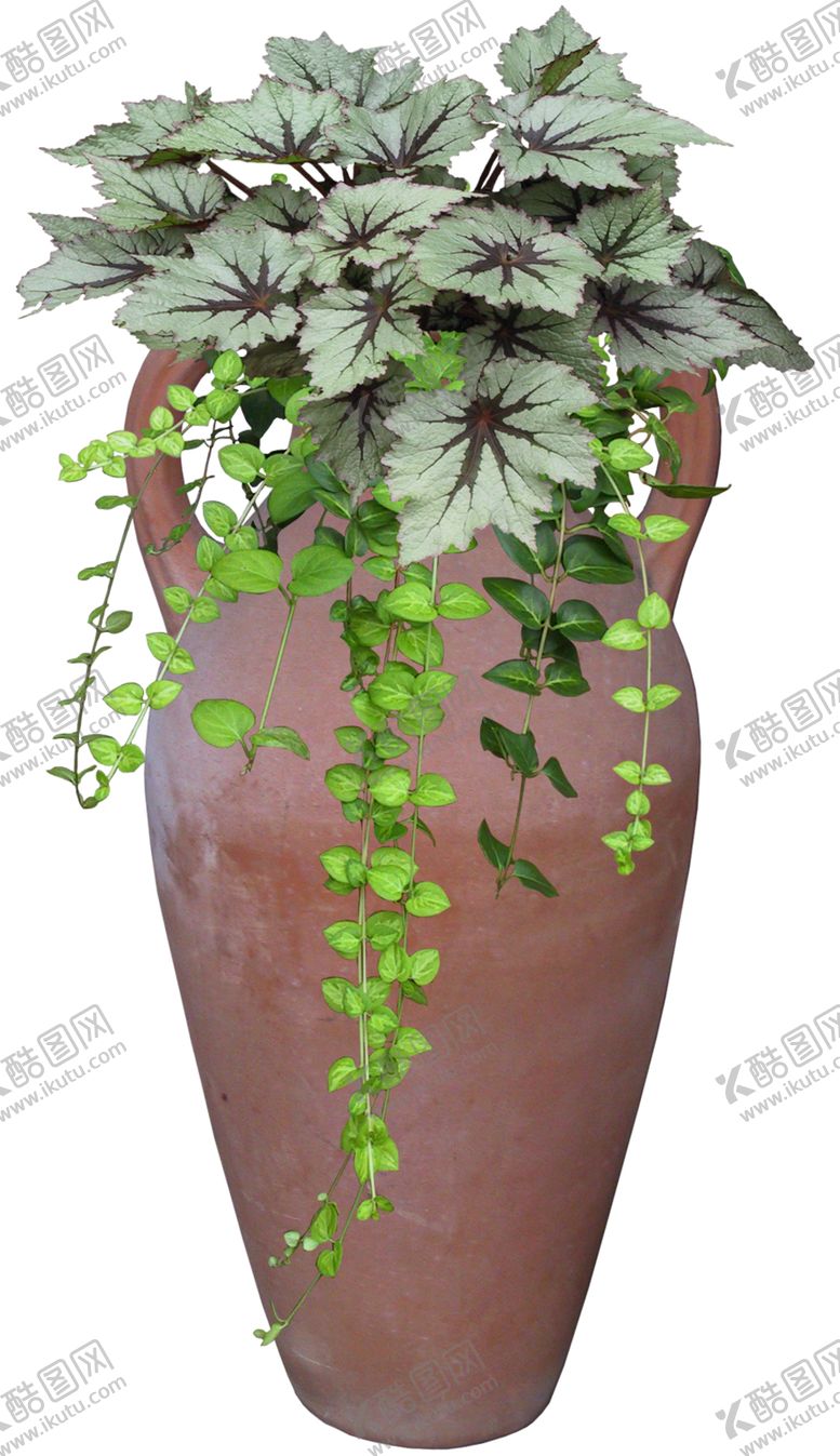 编号：81476510310530064518【酷图网】源文件下载-花盆