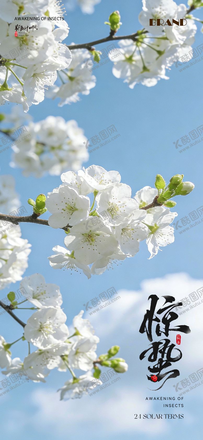 编号：23380903050215241434【酷图网】源文件下载-惊蛰节气海报