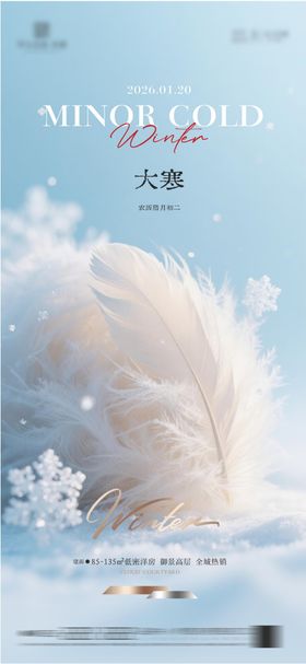 地产大寒质感节气海报