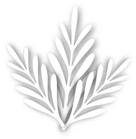 PNG免抠素材叶子免抠素材