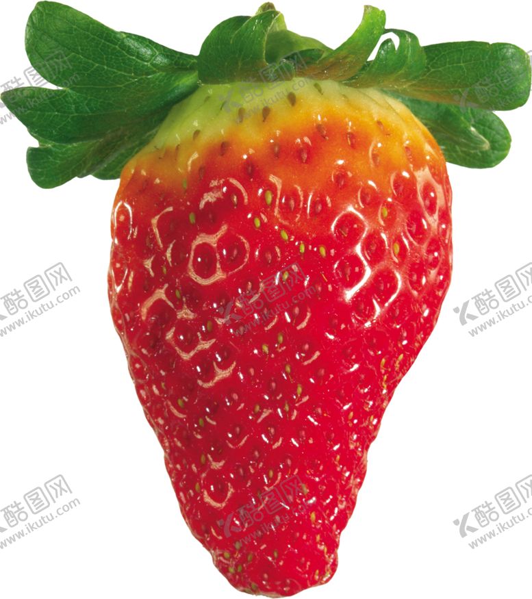 编号：75532010050339599992【酷图网】源文件下载-草莓