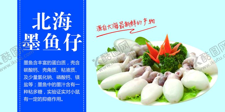 编号：41680709162032233192【酷图网】源文件下载-北海墨鱼仔