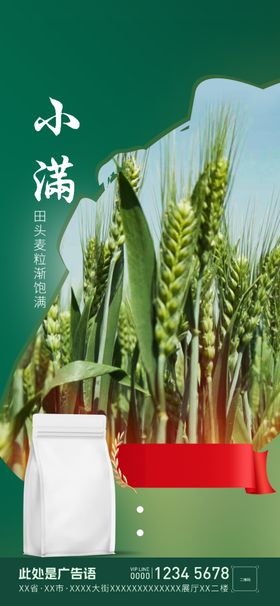 小满麦二十四节气节气节气海报