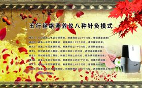 针灸十二经络五行