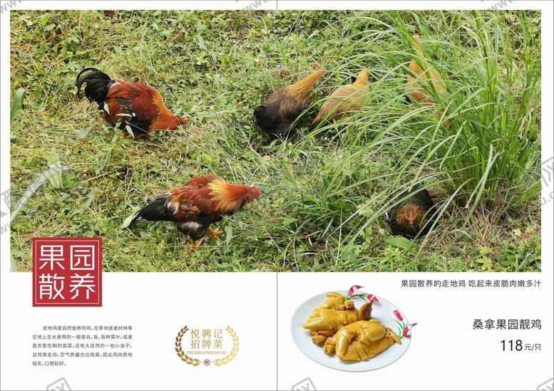编号：57647510170424294630【酷图网】源文件下载-高档菜谱