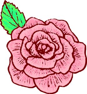 鲜花装饰郁金香边纹百合