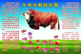 牛肉分割部位图