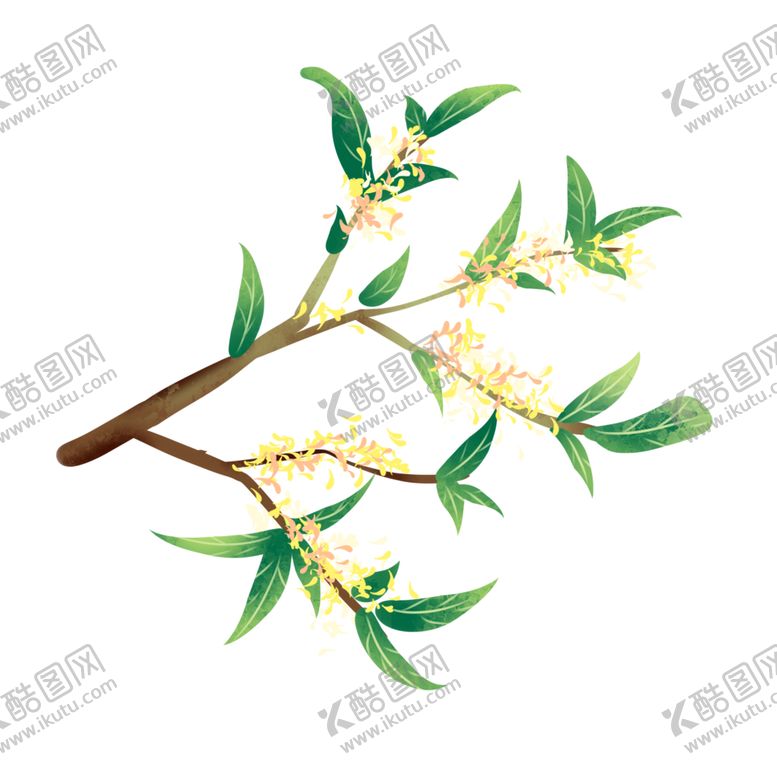 编号：80949601192150573721【酷图网】源文件下载-手绘桂花png免抠素材