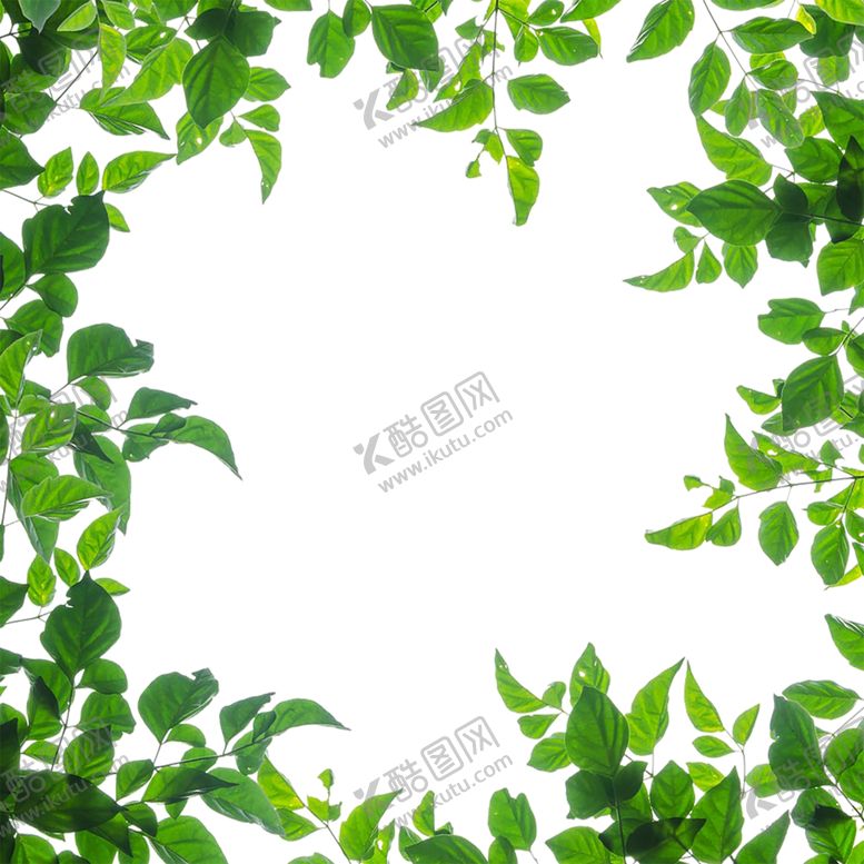 编号：19134507130424177537【酷图网】源文件下载-花边背景
