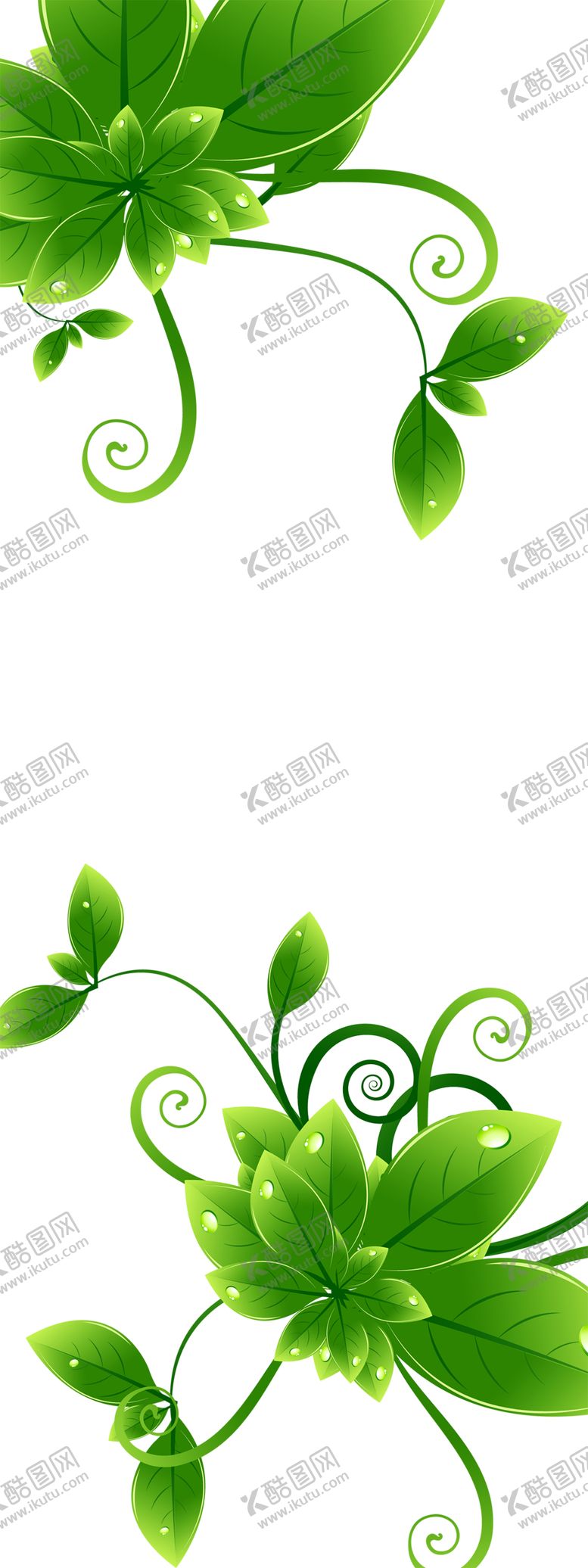 编号：81950507062233075758【酷图网】源文件下载-绿色背景