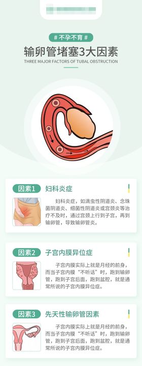 孕前检查科普海报