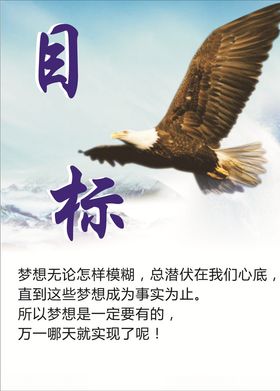 目标