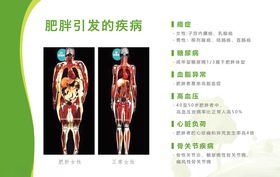 肥胖引起的疾病