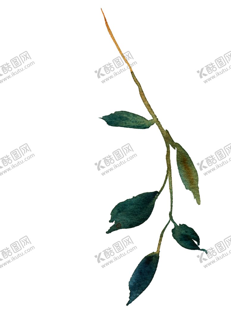 编号：98047202041355206421【酷图网】源文件下载-花叶 