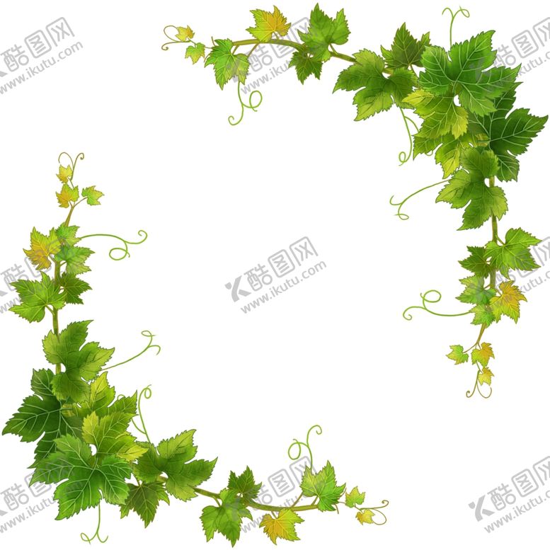 编号：14409201260113136021【酷图网】源文件下载-藤条绿枝边框边条元素树藤