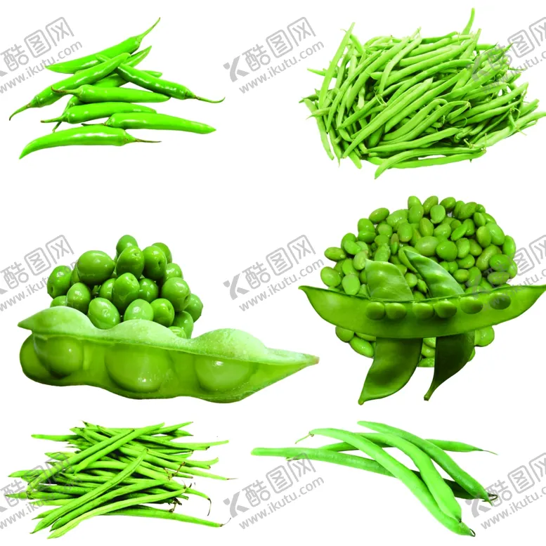 编号：50908304170243493018【酷图网】源文件下载-豌豆青豆素材