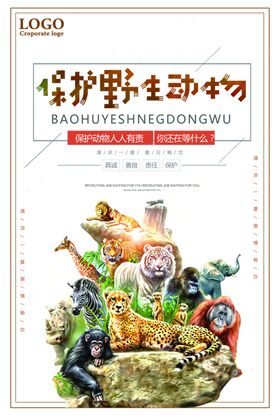 保护动物