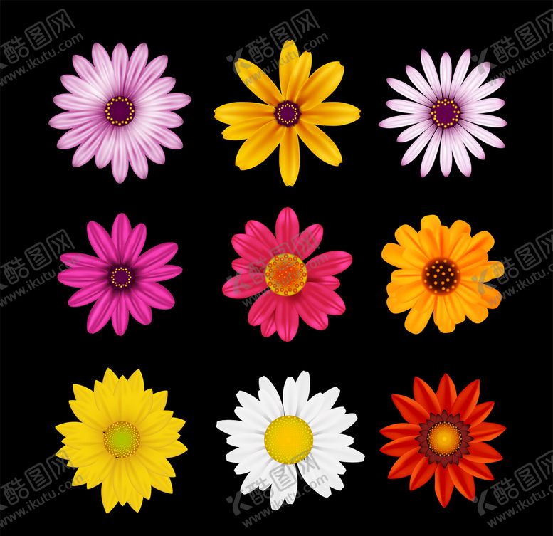 编号：14416207121940051203【酷图网】源文件下载-野菊花小雏菊Daisy鲜花花朵