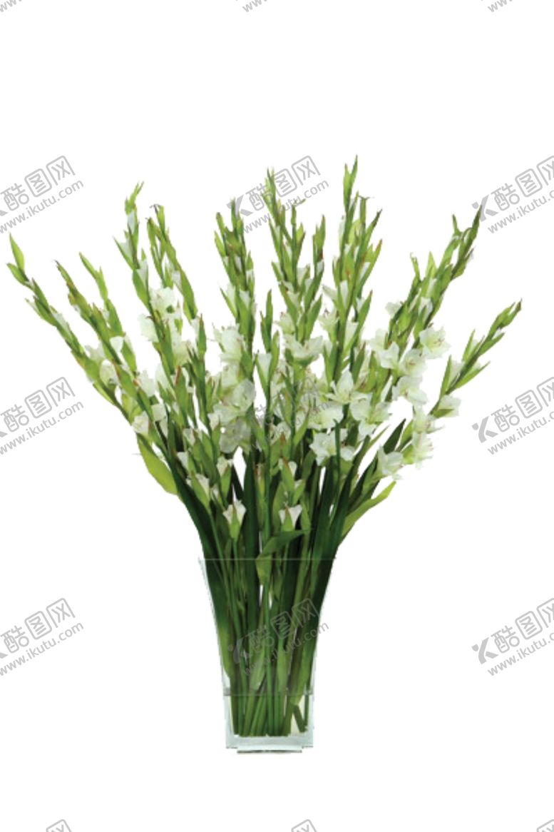 编号：51959609261233138382【酷图网】源文件下载-免抠背景花草树木