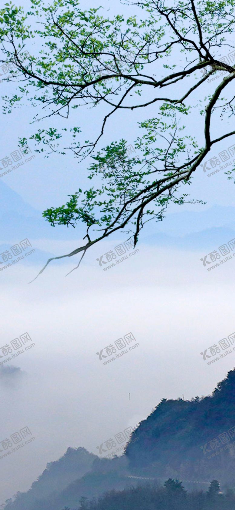编号：81106707141552478966【酷图网】源文件下载-手机壁纸