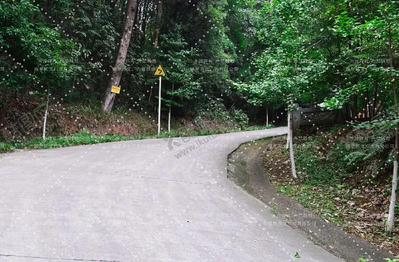 编号：39681410042009141602【酷图网】源文件下载-树林