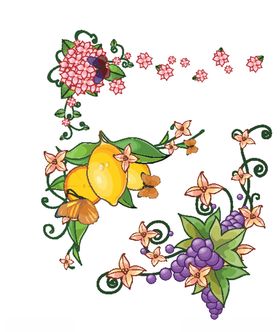 夏日海水水果水花