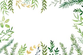 绿植免扣边框
