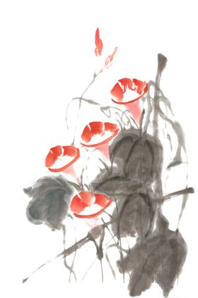 国画牵牛花