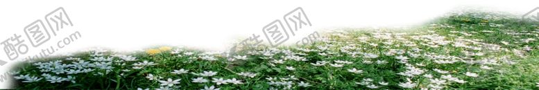 编号：43531907140738288684【酷图网】源文件下载-花田