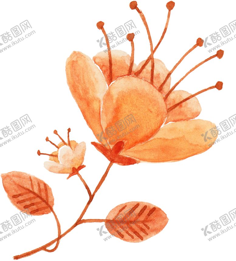 编号：93974709191933153697【酷图网】源文件下载-手绘植物