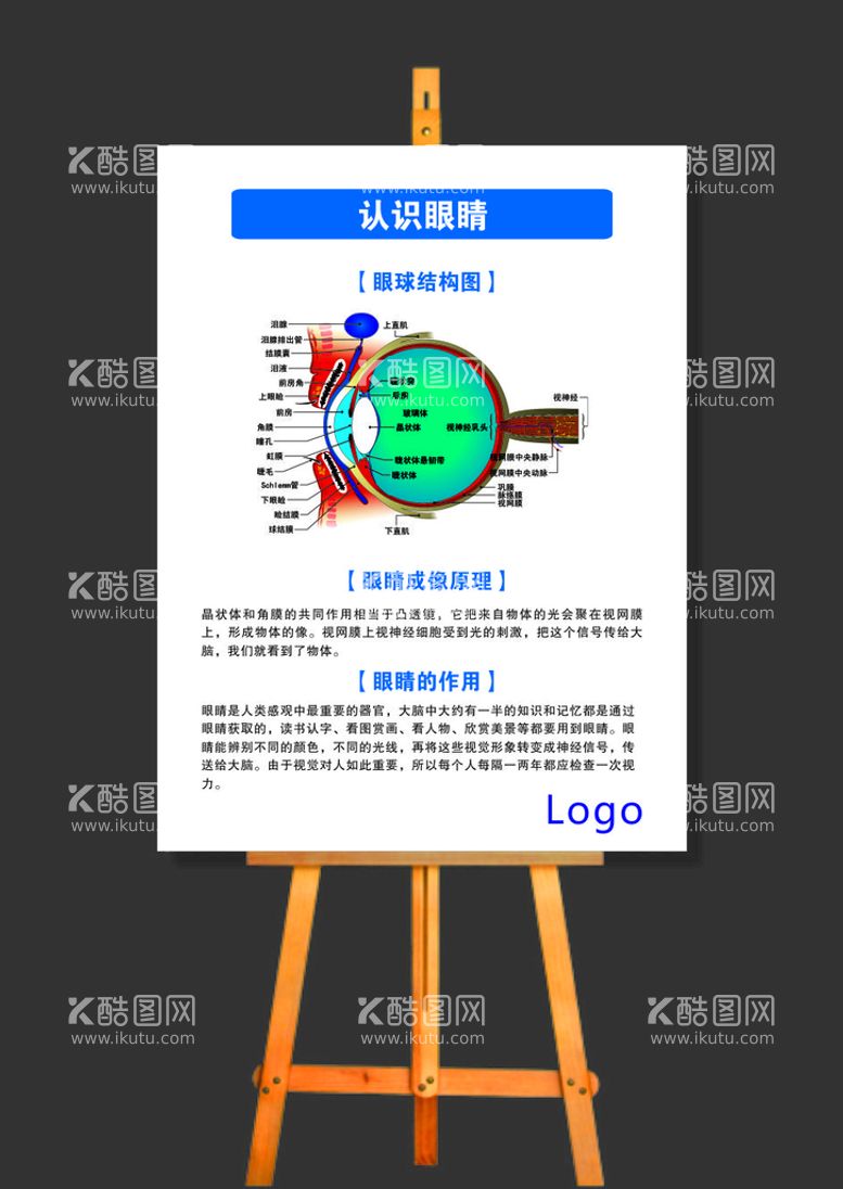 编号：89391011251210151860【酷图网】源文件下载-认识眼睛