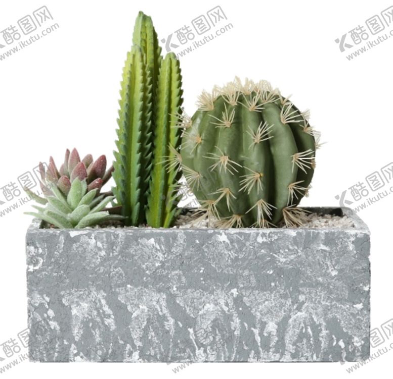 编号：36196709280101593351【酷图网】源文件下载-免抠背景花草树木