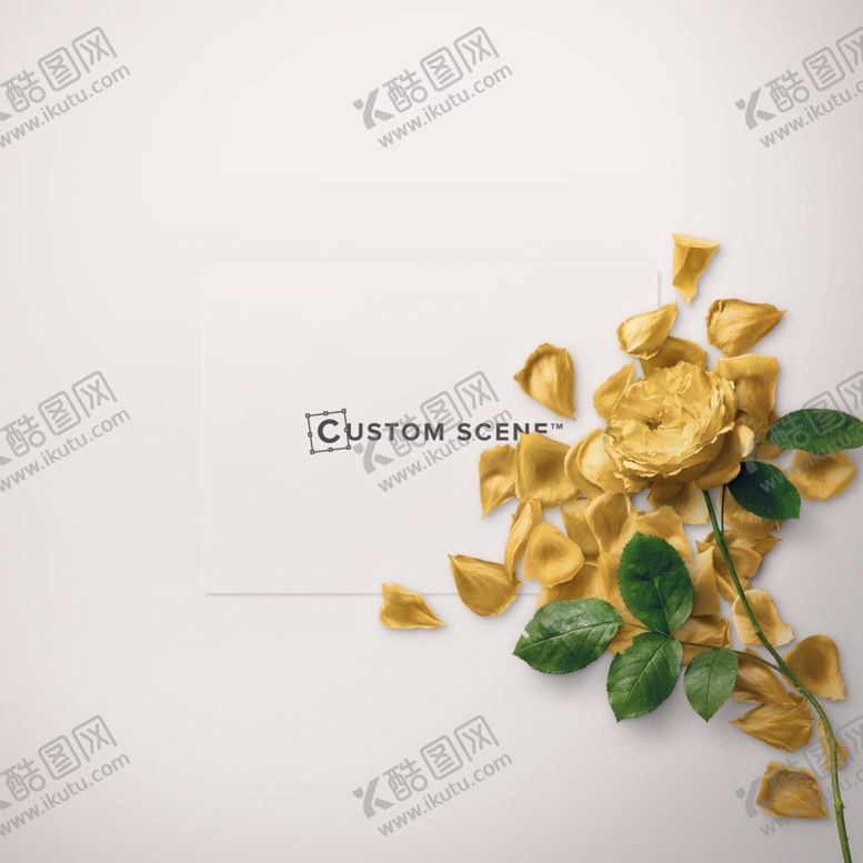 编号：71132010111339055607【酷图网】源文件下载-鲜花背景