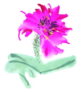 百花争艳国画月季手绘朵水墨画
