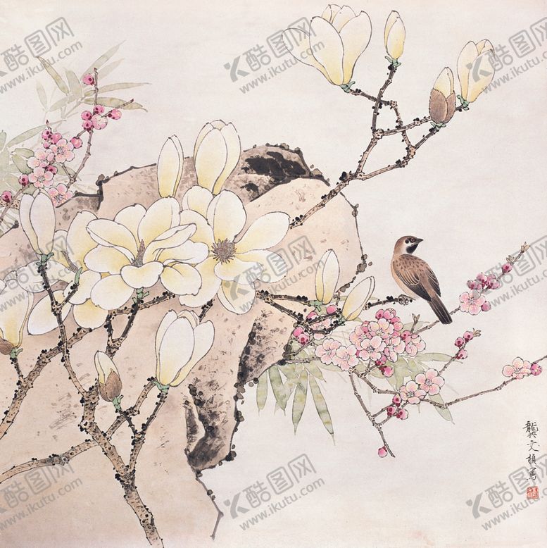 编号：44816907071838537979【酷图网】源文件下载-花鸟