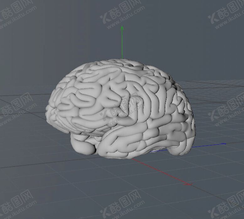 编号：83552302200156275447【酷图网】源文件下载-C4D模型大脑