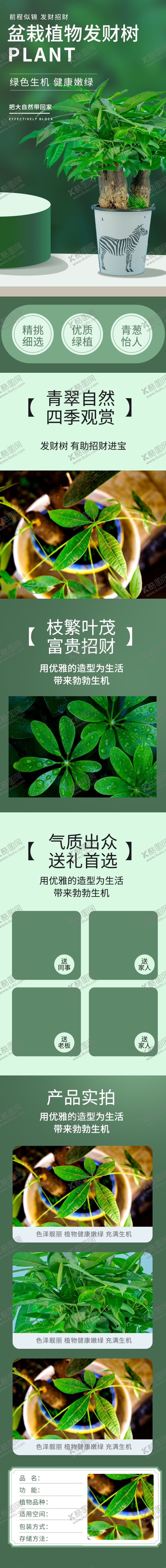 编号：21675004240020234887【酷图网】源文件下载-淘宝电商简约小清新发财树绿色