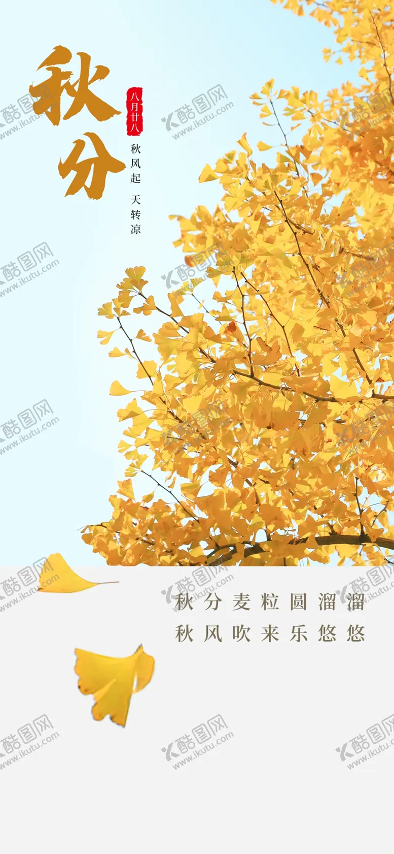 编号：18249009210544364390【酷图网】源文件下载-秋分