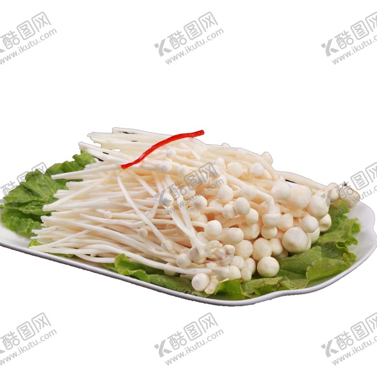 编号：17910509210628419470【酷图网】源文件下载-金针菇