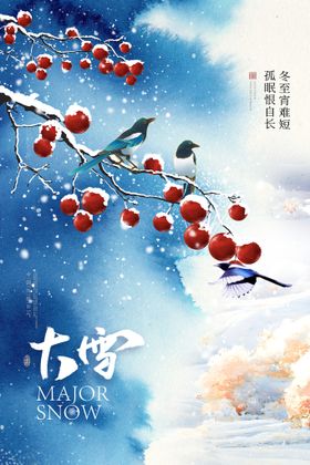 大雪海报