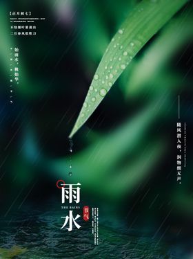 雨水海报广告宣传画面朋友圈地产
